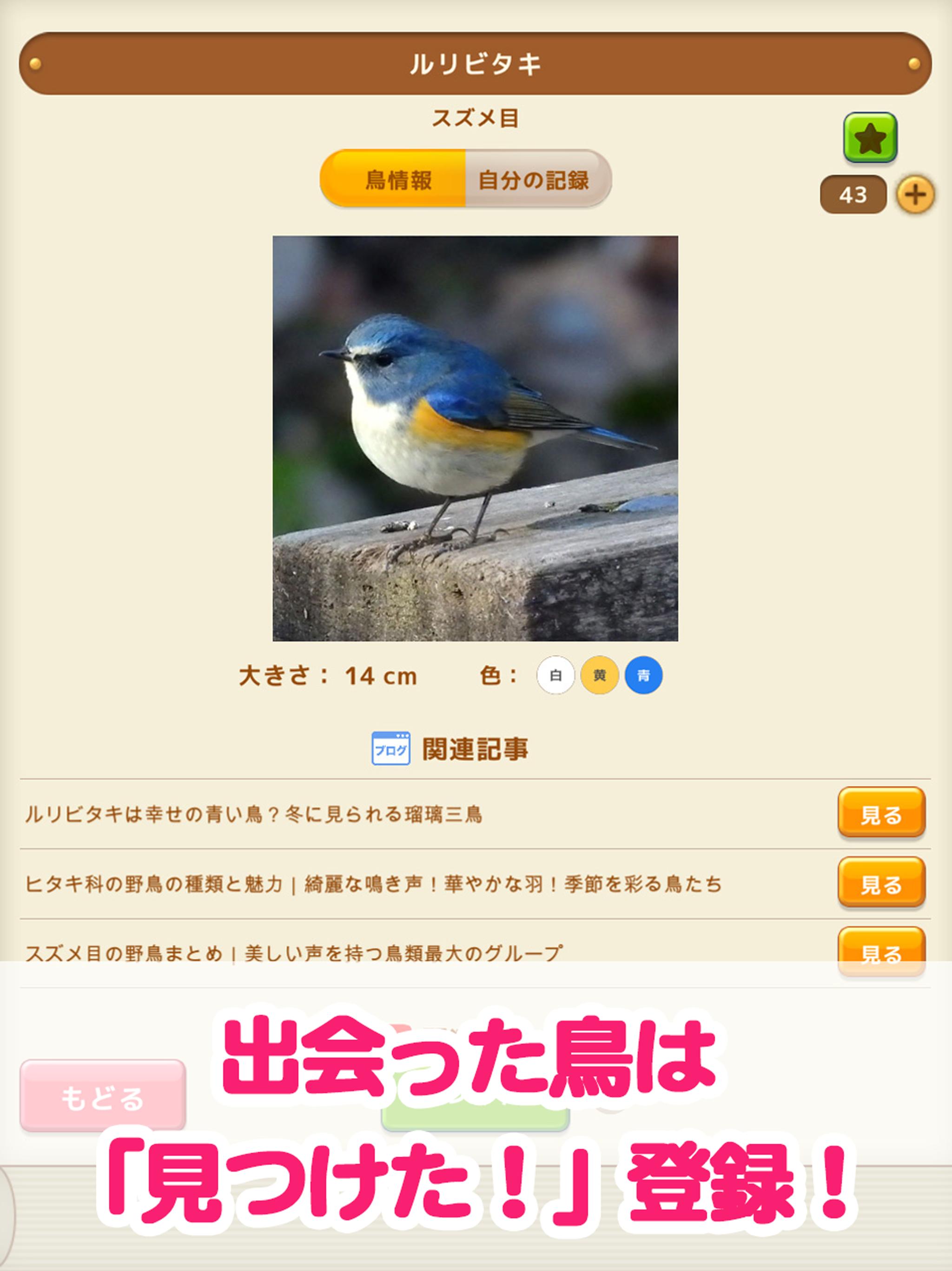 Descargar 見つけた 野鳥図鑑 En Pc Gameloop Oficial Descargar 見つけた 野鳥図鑑 En Pc Gameloop Oficial