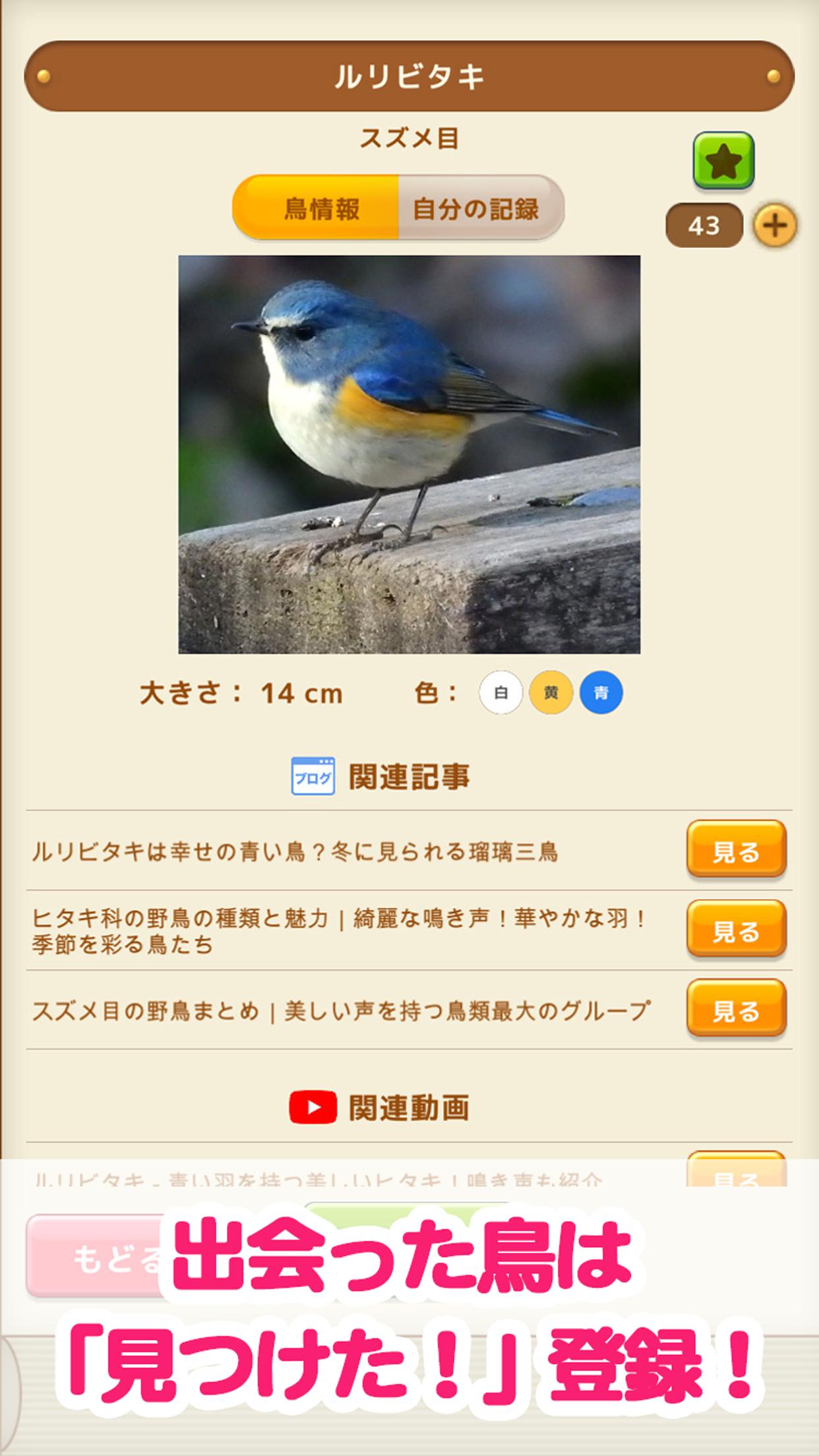 Skachat 見つけた 野鳥図鑑 Na Pk Oficialnyj Predstavitel Gameloop
